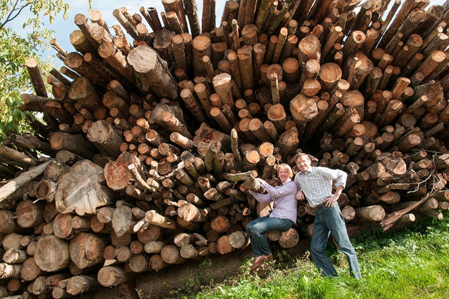 Holz aus dem eigenen Wald