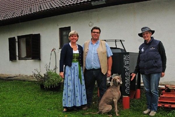 Treu wie ein Hund