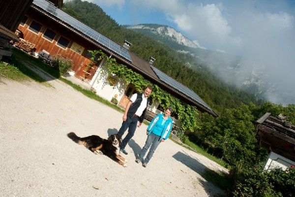 Sonnenstrom für Biohof
