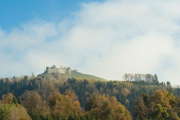 Biomasse erobert Burg