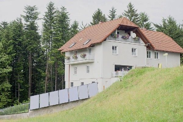 Sonnenernte am Gartenzaun