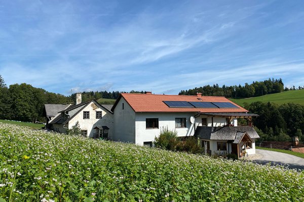 Hackgutheizung in ausgedienten Silos
