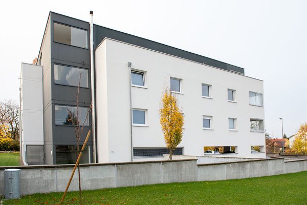 Niedrige Heizkosten mit Pellets