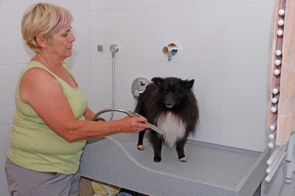 Hundewaschplatz