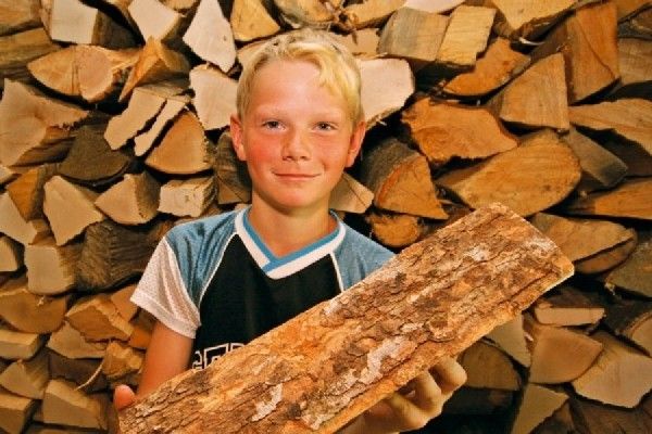 Holz und Sonne für den Hof